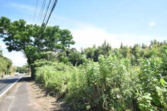 【外観】 | 鹿屋市白水町　売地