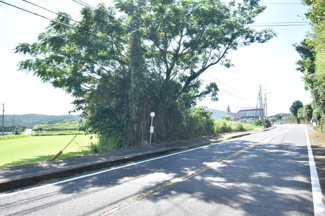 【前面道路含む現地写真】 | 鹿屋市白水町　売地
