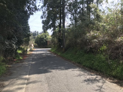 【外観】 | 鹿屋市串良町細山田　売地（全3筆）