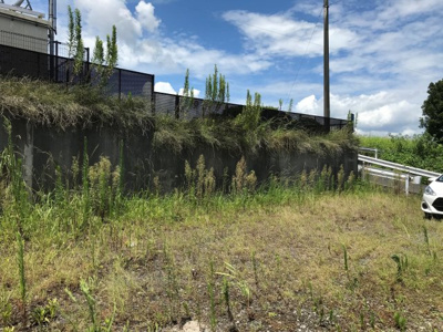 【外観】 | 肝属郡東串良町池之原　売地