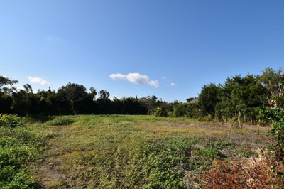 【外観】 | 肝属郡南大隅町根占川北　売地