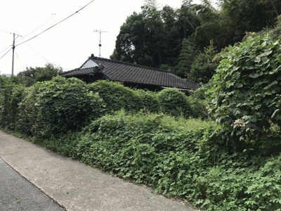 【前面道路含む現地写真】 | 鹿屋市上谷町　売地