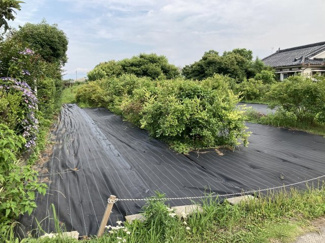 【外観】 | 鹿屋市田崎町　売地