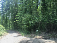 小諸市大字八満売地の画像