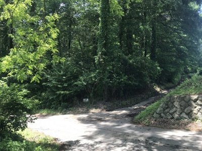 【前面道路含む現地写真】 | 小諸市大字八満売地