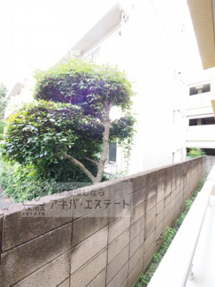 【展望】