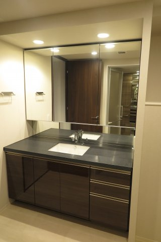 ザ・パークハウス中之島タワーの独立洗面台