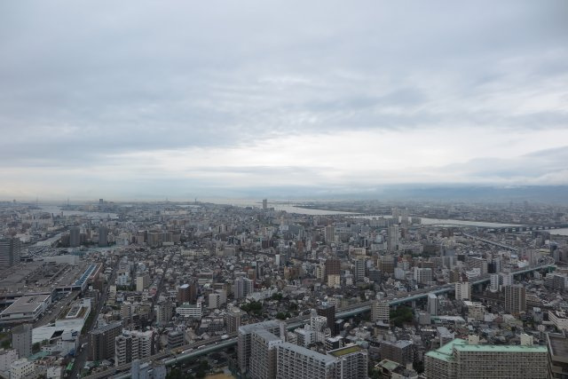 ザ・パークハウス中之島タワーの展望