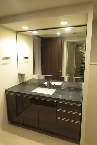 ザ・パークハウス中之島タワーの洗面所