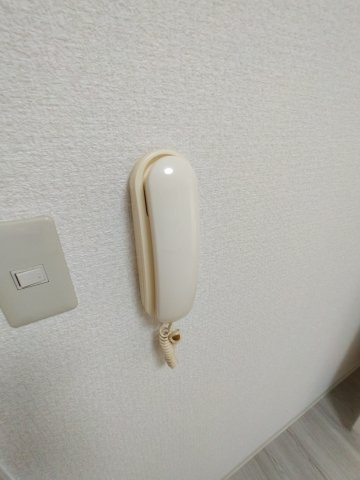  | ドムール芝高