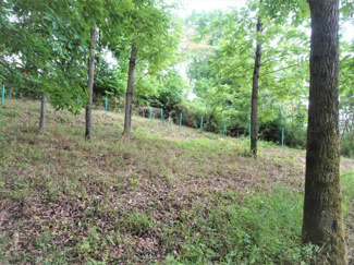 【外観】 | 土地　京王高尾線　めじろ台駅　八王子市　寺田町