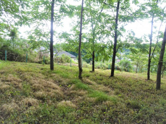 【外観】 | 土地　京王高尾線　めじろ台駅　八王子市　寺田町
