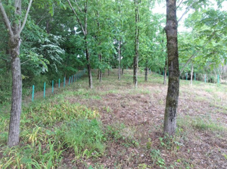 【その他】 | 土地　京王高尾線　めじろ台駅　八王子市　寺田町