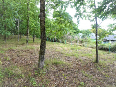 【その他】 | 土地　京王高尾線　めじろ台駅　八王子市　寺田町