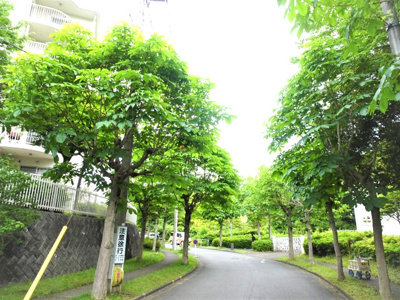 【その他】 | 土地　京王高尾線　めじろ台駅　八王子市　寺田町 | 寺田団地内