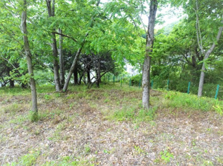 【外観】 | 土地　京王高尾線　めじろ台駅　八王子市　寺田町 | 現況