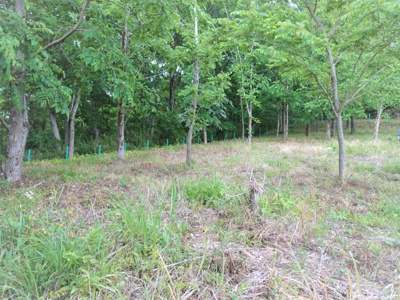 【外観】 | 土地　京王高尾線　めじろ台駅　八王子市　寺田町