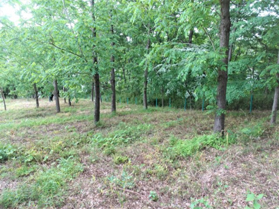 【外観】 | 土地　京王高尾線　めじろ台駅　八王子市　寺田町