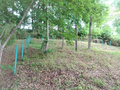 【外観】 | 土地　京王高尾線　めじろ台駅　八王子市　寺田町