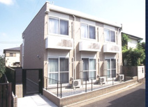 フリージア の画像