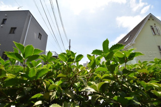 【展望】 | 物件のお問い合わせは、 ０１２０－７００－９６８までお気軽にどうぞ！
テラスからの眺望