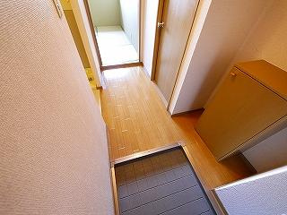 サンコートD棟の玄関|明るい玄関です