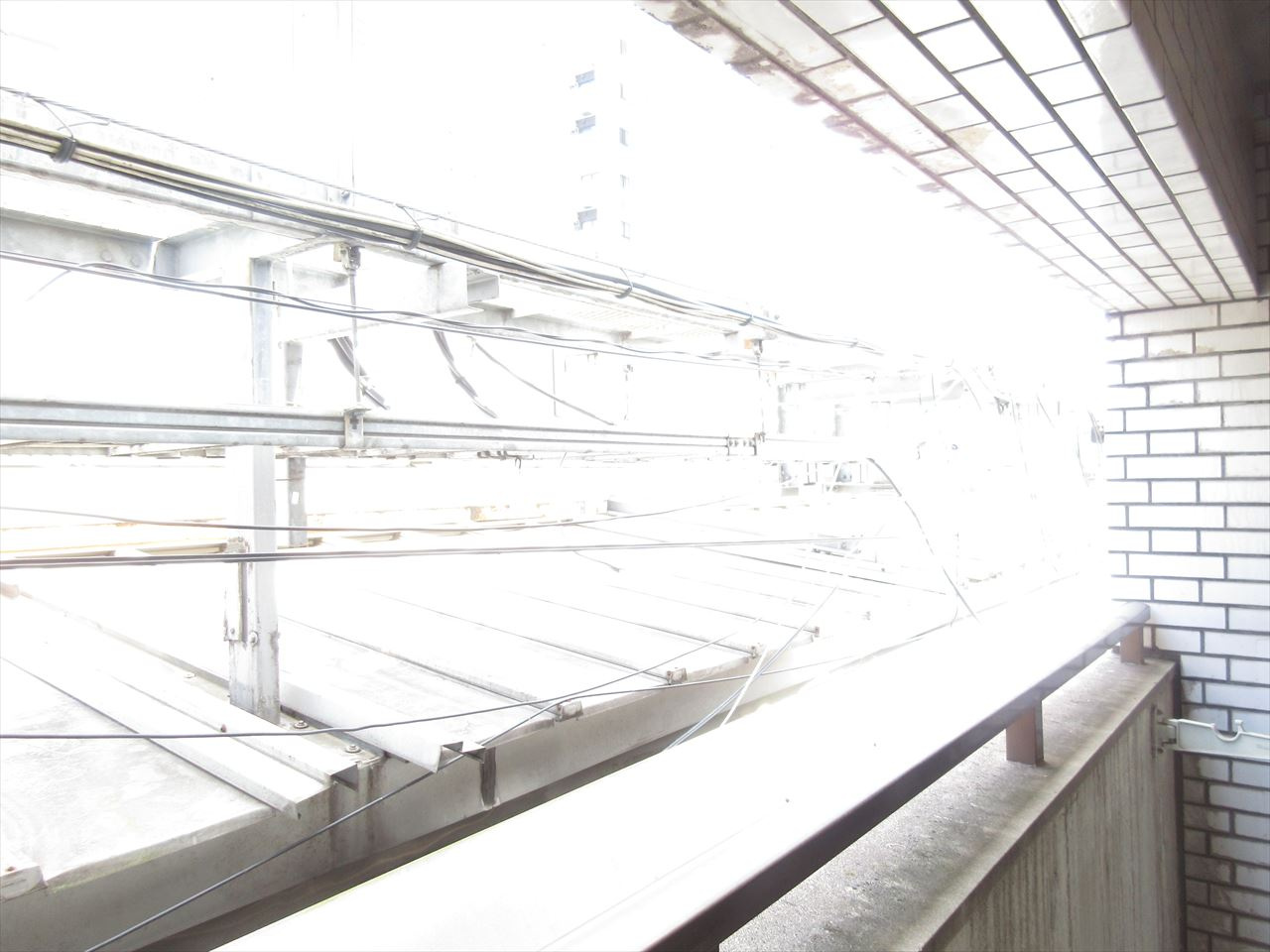 金城ビルの展望|金城ビル