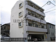 メイシービルの画像