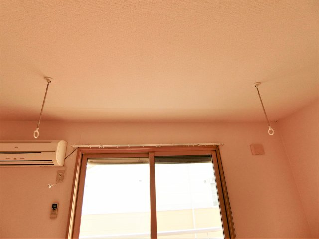 Carinopenseeの設備