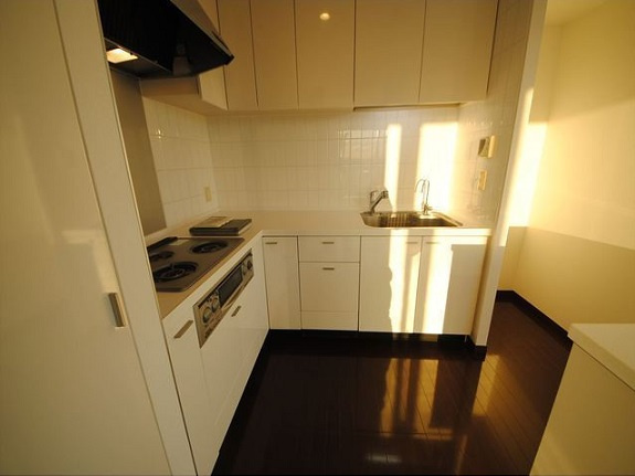 港区高輪１丁目の賃貸マンションのキッチン|他タイプ参照