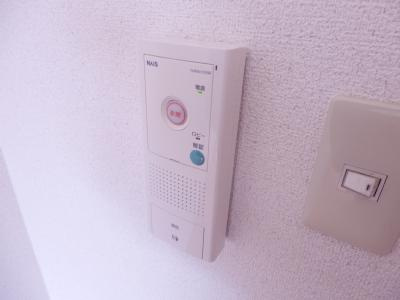 ブリリアンスITOのセキュリティ|インターホン