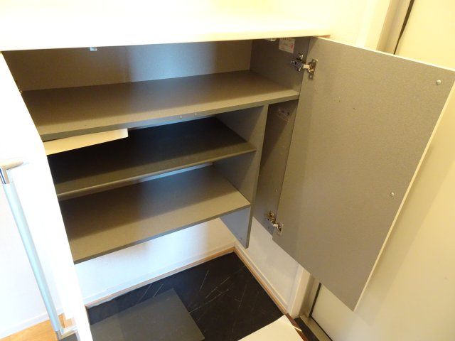 ラフィーネ・DuOの玄関|イメージ写真