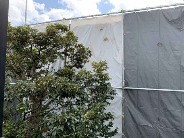 NOA21の展望
