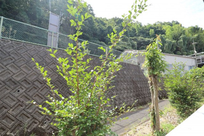 【展望】 | レインボーハイツ南