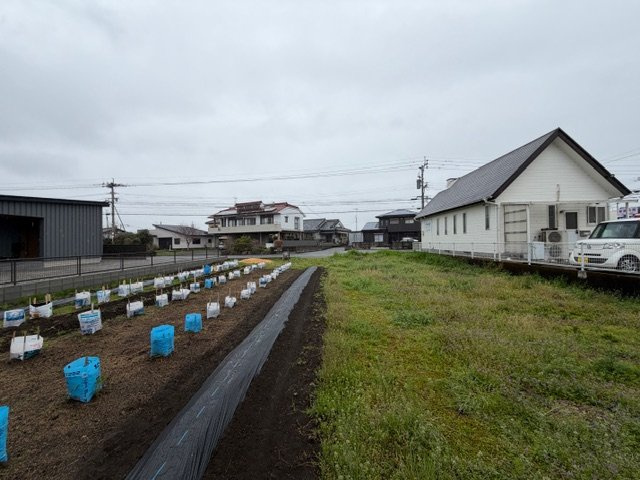 北諸県郡三股町五本松の売地の外観