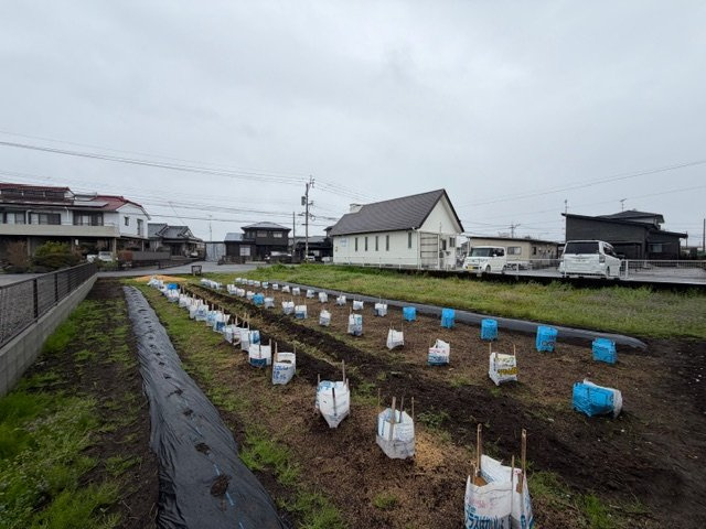 北諸県郡三股町五本松の売地の外観