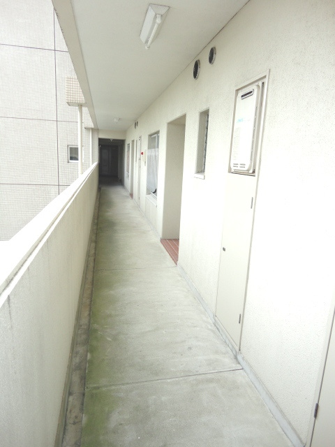 レジデンス鸞鳳の展望