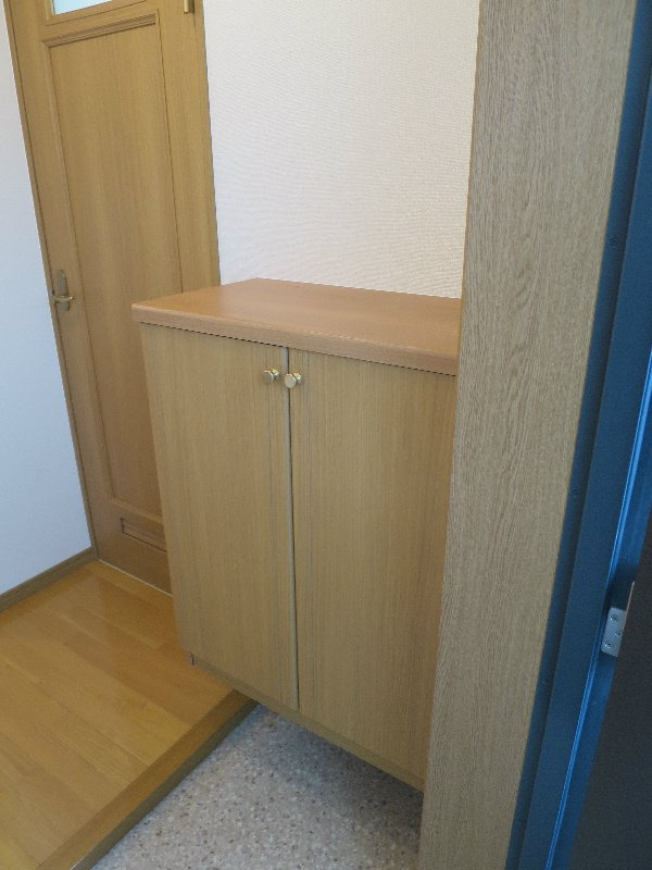 熊本市中央区大江６丁目の賃貸マンションの玄関