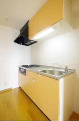 熊本市中央区大江６丁目の賃貸マンションのキッチン