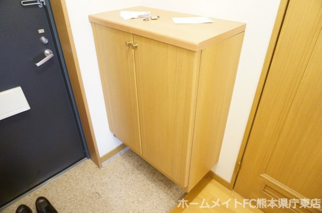 熊本市中央区大江６丁目の賃貸マンションの玄関