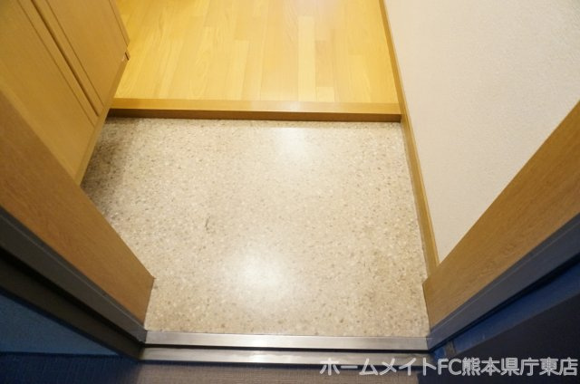 熊本市中央区大江６丁目の賃貸マンションの玄関