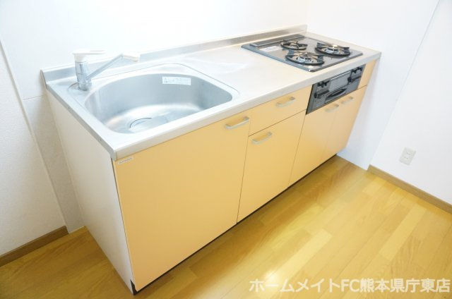 熊本市中央区大江６丁目の賃貸マンションのキッチン