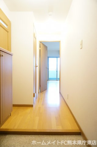 熊本市中央区大江６丁目の賃貸マンションの玄関
