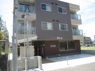 プレミアムsoraの画像