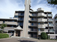 東急ドエルアルスの画像