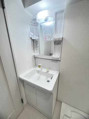ロジュマン反高の洗面所
