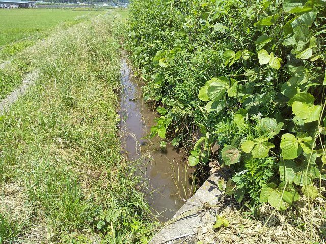 【前面道路含む現地写真】 | 東金市田間　土地