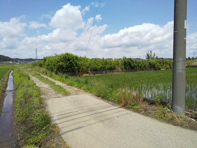 【前面道路含む現地写真】 | 東金市田間　土地
