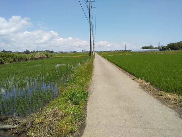 【前面道路含む現地写真】 | 東金市田間　土地
