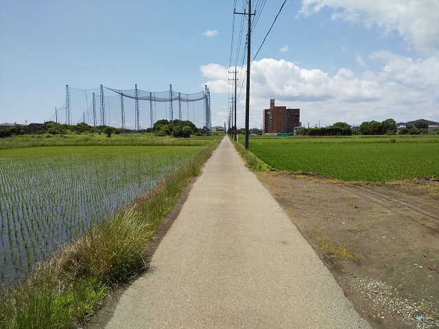 【前面道路含む現地写真】 | 東金市田間　土地